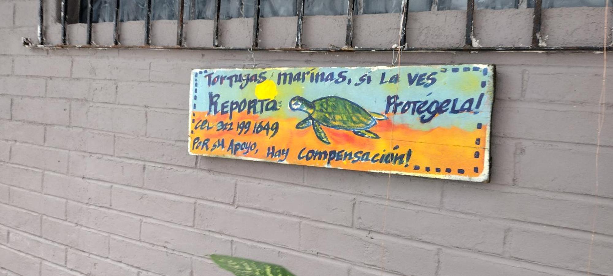 Villas Del Amor Amor Puerto Vallarta Kültér fotó