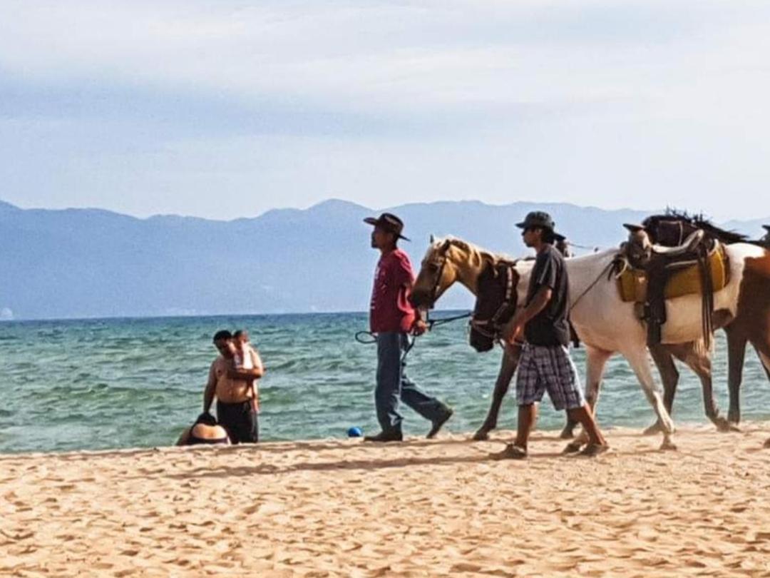 Villas Del Amor Amor Puerto Vallarta Kültér fotó