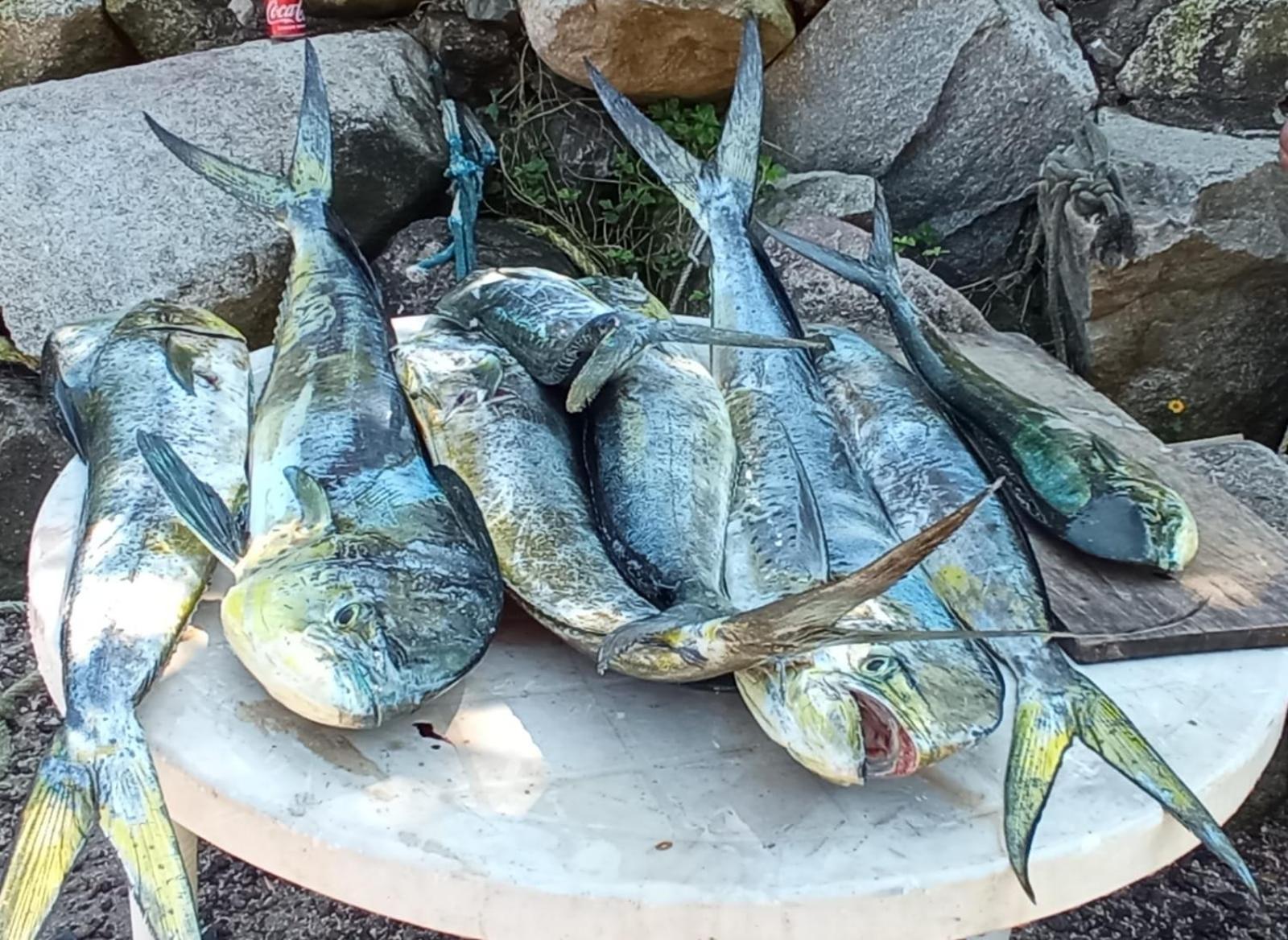 Villas Del Amor Amor Puerto Vallarta Kültér fotó